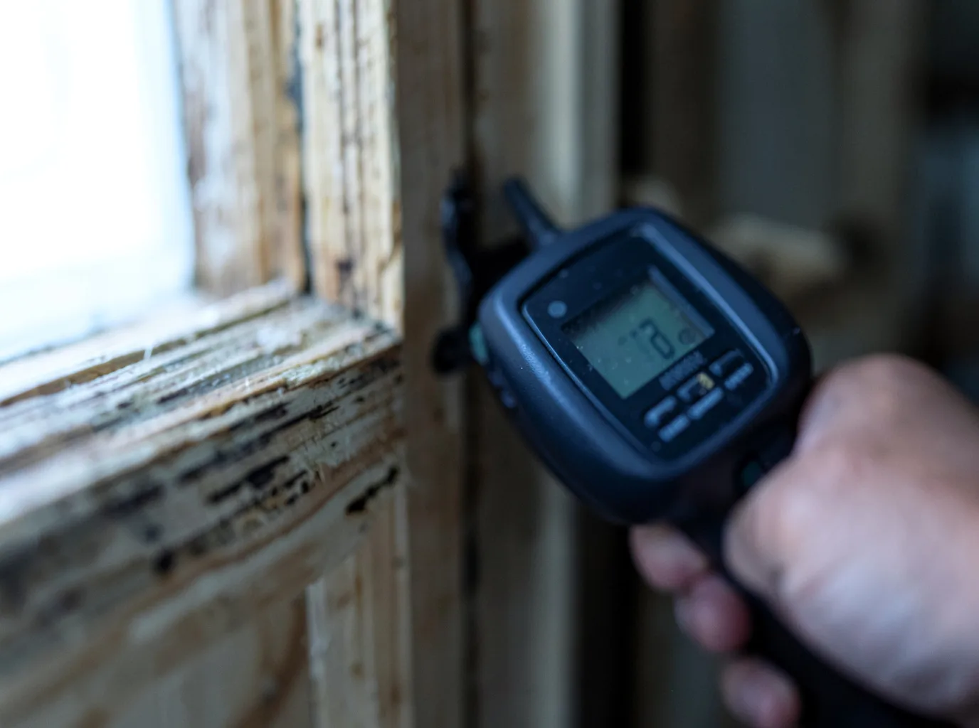 Moisture Inspection And Documentation in Plush, OR